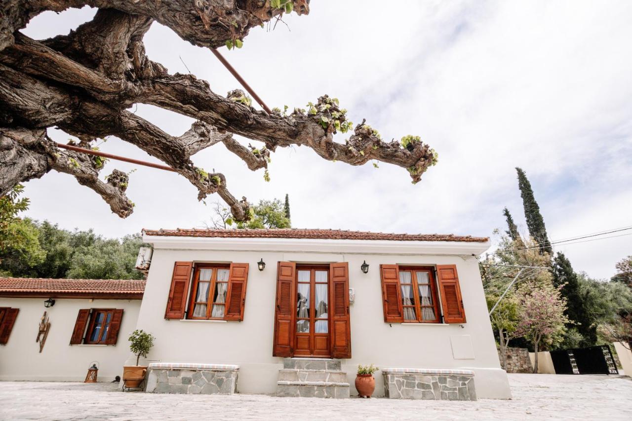 Kymanemi Zakynthos Cottage House Áno Yerakaríon Zewnętrze zdjęcie
