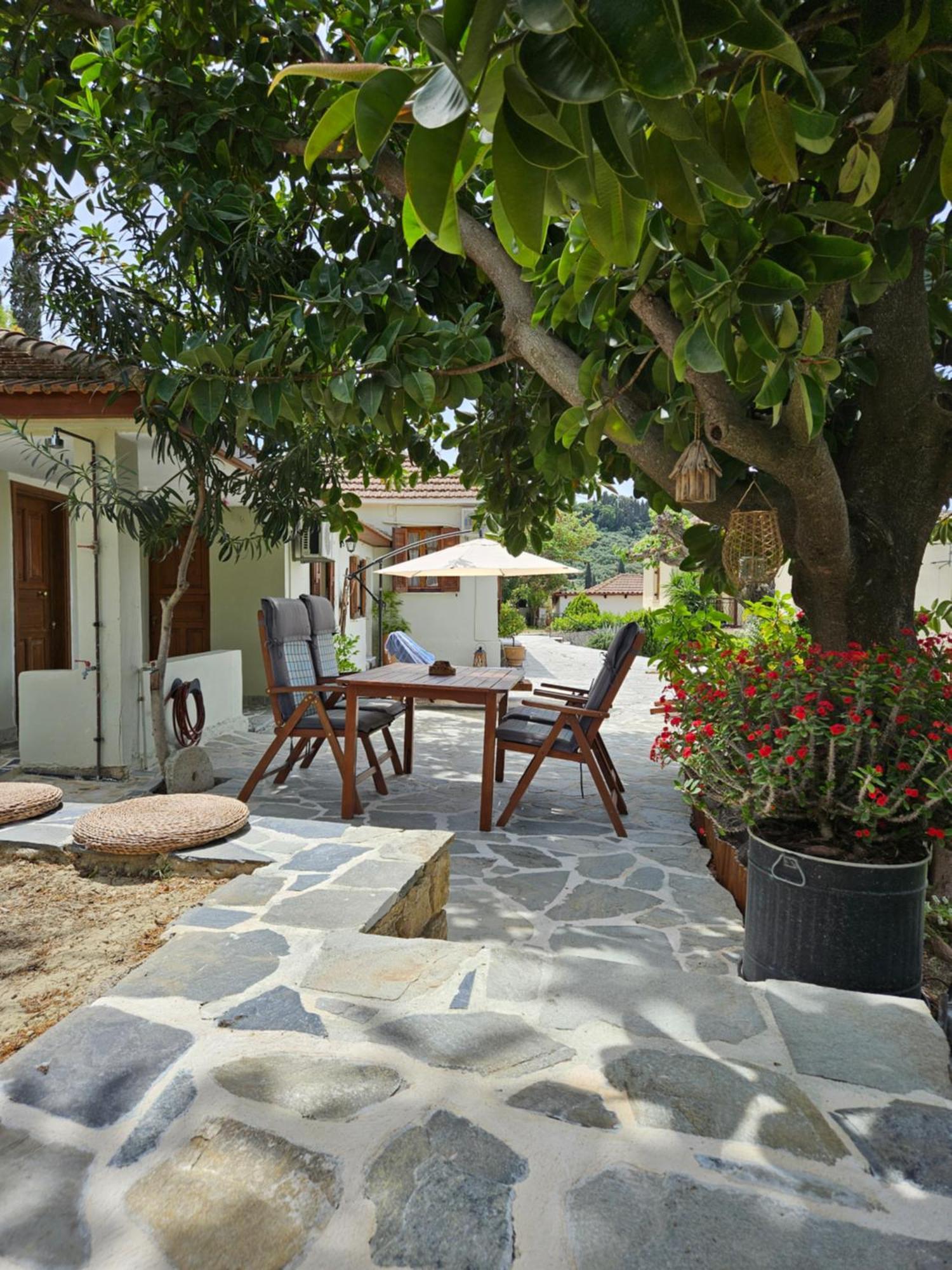 Kymanemi Zakynthos Cottage House Áno Yerakaríon Zewnętrze zdjęcie